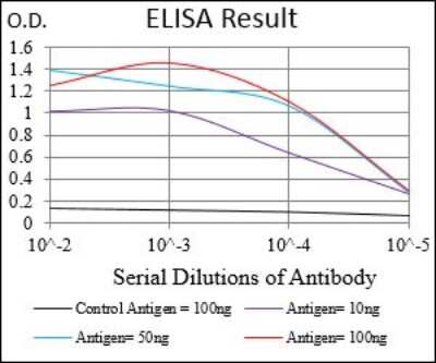 ELISA: eIF2A Antibody (3A7A8) - BSA Free [NBP2-37279]