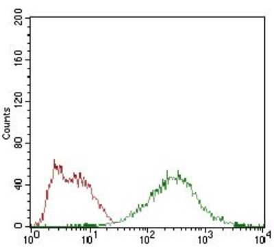Flow Cytometry: eIF2A Antibody (3A7A8) - BSA Free [NBP2-37279]