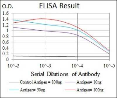 ELISA: eIF4B Antibody (1F5) - BSA Free [NBP2-37488]