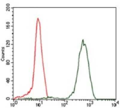 Flow Cytometry: eIF4B Antibody (1F5) - BSA Free [NBP2-37488]