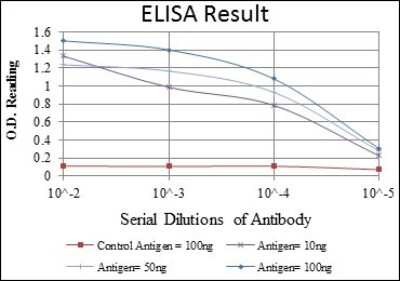 ELISA: eIF4E Antibody (5D11) - BSA Free [NBP2-22177]