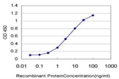 ELISA: eIF4G1 Antibody (2A9) [H00001981-M10]