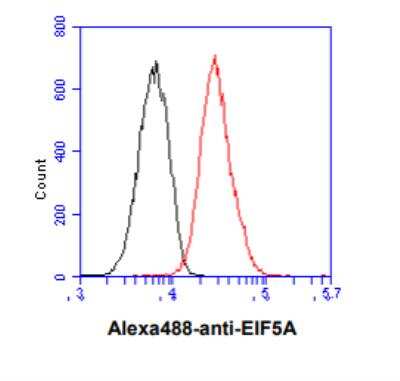 Flow Cytometry: eIF5A Antibody (4D1) - BSA Free [NBP2-59403]