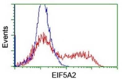 Flow Cytometry: eIF5A2 Antibody (OTI6G7) - Azide and BSA Free [NBP2-72056]