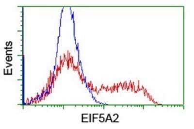 Flow Cytometry: eIF5A2 Antibody (OTI6G7) [NBP2-45697]