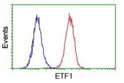 Flow Cytometry: eRF1 Antibody (OTI2E3) [NBP2-00740]