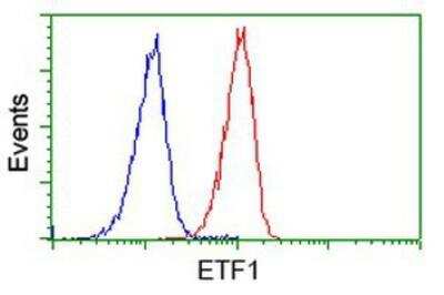 Flow Cytometry: eRF1 Antibody (OTI2E3) [NBP2-00740]