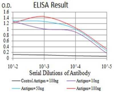 ELISA: eRF1 Antibody (4F9H12) - BSA Free [NBP2-52552]