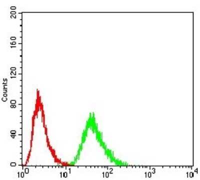 Flow Cytometry: eRF1 Antibody (4F9H12) - BSA Free [NBP2-52552]