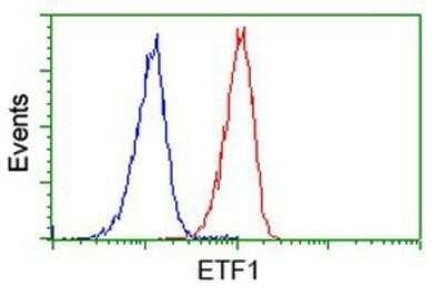 Flow Cytometry: eRF1 Antibody (OTI2E3) - Azide and BSA Free [NBP2-70692]