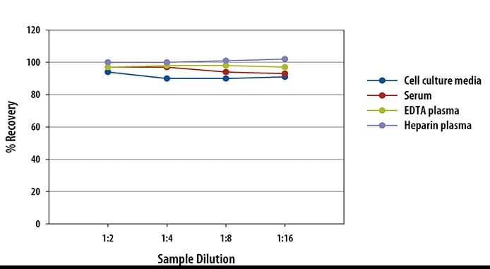 Mouse/Rat Angiopoietin-2 ELISA Linearity