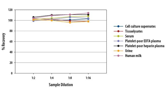 Human/Mouse/Rat/Porcine/Canine Total BDNF ELISA Linearity