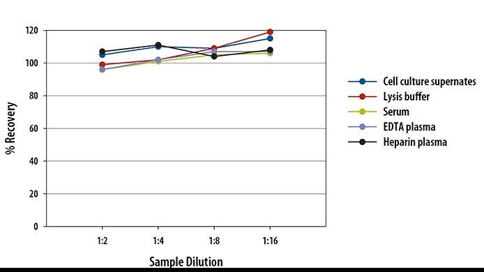 Mouse CCL2/JE/MCP-1 ELISA Linearity