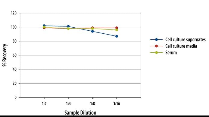 Mouse CXCL12/SDF-1 alpha ELISA Linearity