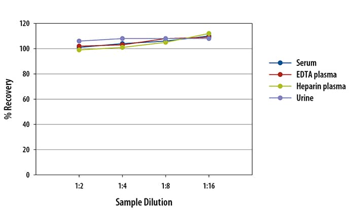 Recombinant Human IL-4 Protein 204-IL-010: R&D Systems