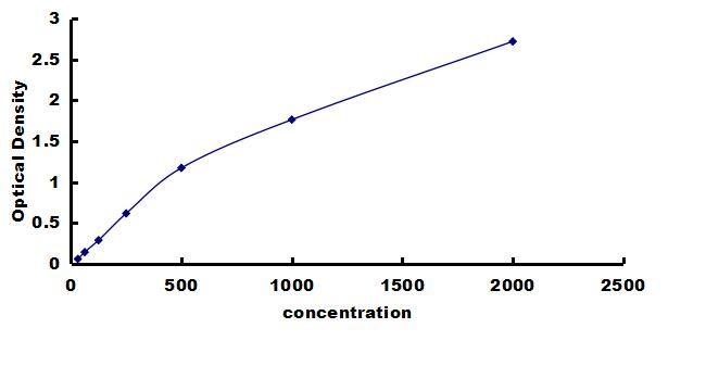 Rat BMP-2 ELISA Kit (Colorimetric) ELISA: Rat BMP-2 ELISA Kit (Colorimetric) [NBP3-42241]