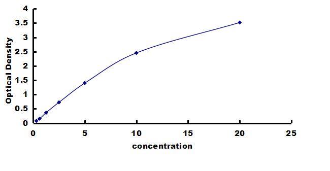 Mouse PKM2 ELISA Kit (Colorimetric) ELISA: Mouse PKM2 ELISA Kit (Colorimetric) [NBP3-42247]