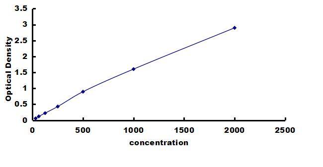 Rabbit Collagen I ELISA Kit (Colorimetric) ELISA: Rabbit Collagen I ELISA Kit (Colorimetric) [NBP3-42323]