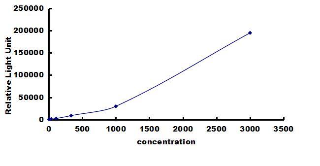 Rat CXCL7/NAP-2 ELISA Kit (Chemiluminescence) ELISA: Rat CXCL7/NAP-2 ELISA Kit (Chemiluminescence) [NBP3-42389]