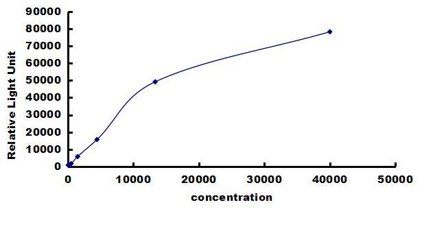Rabbit CCL2/JE/MCP-1 ELISA Kit (Chemiluminescence) ELISA: Rabbit CCL2/JE/MCP-1 ELISA Kit (Chemiluminescence) [NBP3-42405]