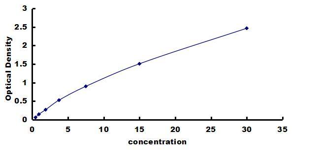 Rat PKM2 ELISA Kit (Colorimetric) ELISA: Rat PKM2 ELISA Kit (Colorimetric) [NBP3-42445]