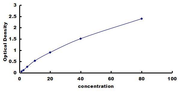 Porcine TIMP-1 ELISA Kit (Colorimetric) ELISA: Porcine TIMP-1 ELISA Kit (Colorimetric) [NBP3-42471]