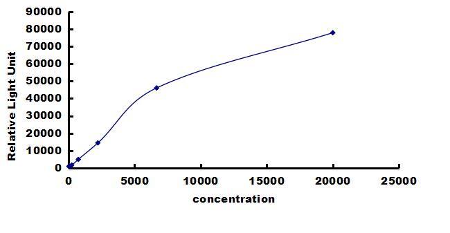 Bovine Fibronectin ELISA Kit (Chemiluminescence) ELISA: Bovine Fibronectin ELISA Kit (Chemiluminescence) [NBP3-42498]