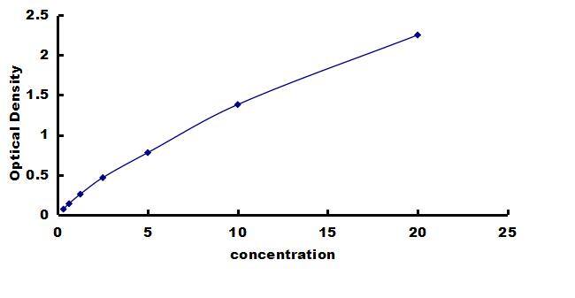 Rat FoxO1/FKHR ELISA Kit (Colorimetric) ELISA: Rat FoxO1/FKHR ELISA Kit (Colorimetric) [NBP3-42504]