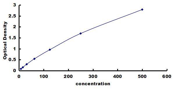 Equine TIMP-2 ELISA Kit (Colorimetric) ELISA: Equine TIMP-2 ELISA Kit (Colorimetric) [NBP3-42534]