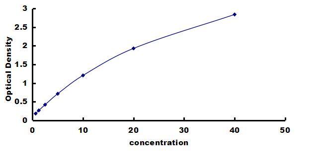 Equine Leptin/OB ELISA Kit (Colorimetric) ELISA: Equine Leptin/OB ELISA Kit (Colorimetric) [NBP3-42562]
