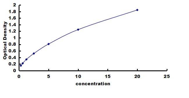 Equine MMP-13 ELISA Kit (Colorimetric) ELISA: Equine MMP-13 ELISA Kit (Colorimetric) [NBP3-42569]