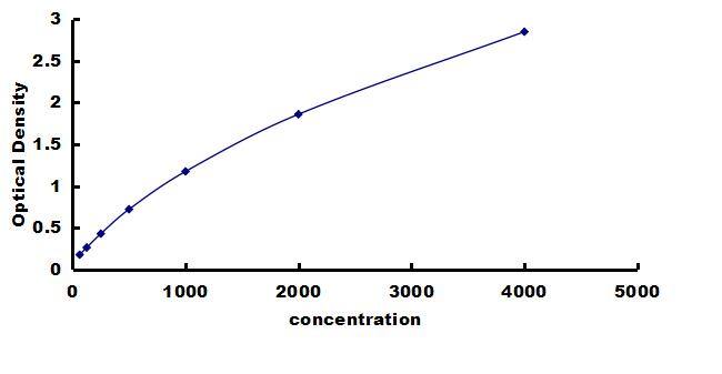 Porcine MMP-13 ELISA Kit (Colorimetric) ELISA: Porcine MMP-13 ELISA Kit (Colorimetric) [NBP3-42570]