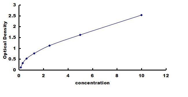 Rat CaM Kinase II alpha ELISA Kit (Colorimetric) ELISA: Rat CaM Kinase II alpha ELISA Kit (Colorimetric) [NBP3-42604]