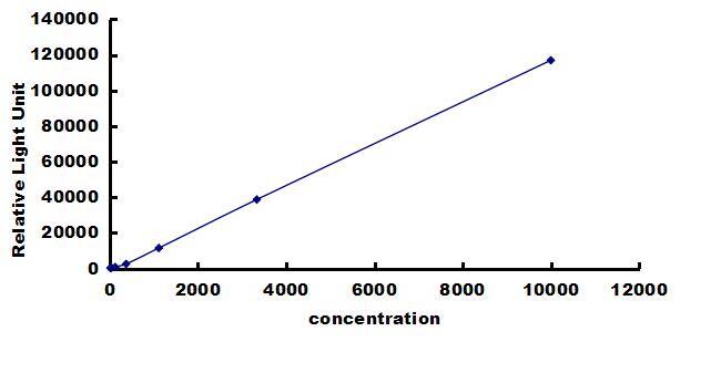 Porcine Leptin/OB ELISA Kit (Chemiluminescence) ELISA: Porcine Leptin/OB ELISA Kit (Chemiluminescence) [NBP3-42631]