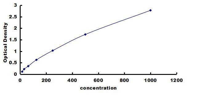 Bovine IL12B ELISA Kit (Colorimetric) ELISA: Bovine IL12B ELISA Kit (Colorimetric) [NBP3-42633]
