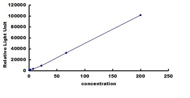 Porcine CTGF/CCN2 ELISA Kit (Chemiluminescence) ELISA: Porcine CTGF/CCN2 ELISA Kit (Chemiluminescence) [NBP3-42651]