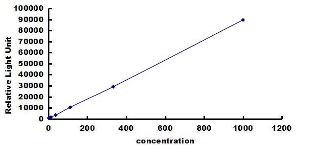 Mouse BMP-2 ELISA Kit (Chemiluminescence) ELISA: Mouse BMP-2 ELISA Kit (Chemiluminescence) [NBP3-42652]