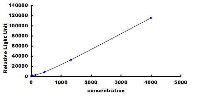 Rat BMP-2 ELISA Kit (Chemiluminescence) ELISA: Rat BMP-2 ELISA Kit (Chemiluminescence) [NBP3-42654]
