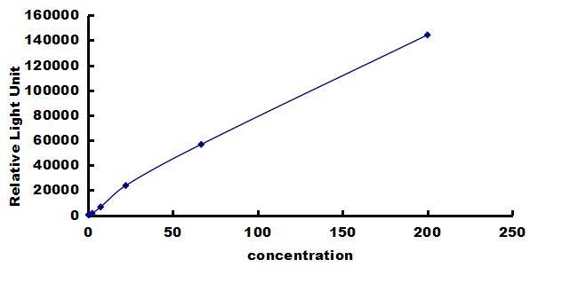 Equine MMP-13 ELISA Kit (Chemiluminescence) ELISA: Equine MMP-13 ELISA Kit (Chemiluminescence) [NBP3-42660]