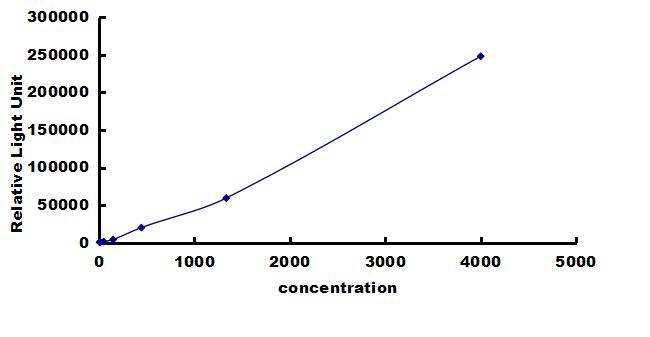 Equine MMP-3 ELISA Kit (Chemiluminescence) ELISA: Equine MMP-3 ELISA Kit (Chemiluminescence) [NBP3-42663]