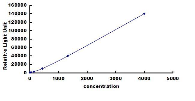 Equine CCL11/Eotaxin ELISA Kit (Chemiluminescence) ELISA: Equine CCL11/Eotaxin ELISA Kit (Chemiluminescence) [NBP3-42667]