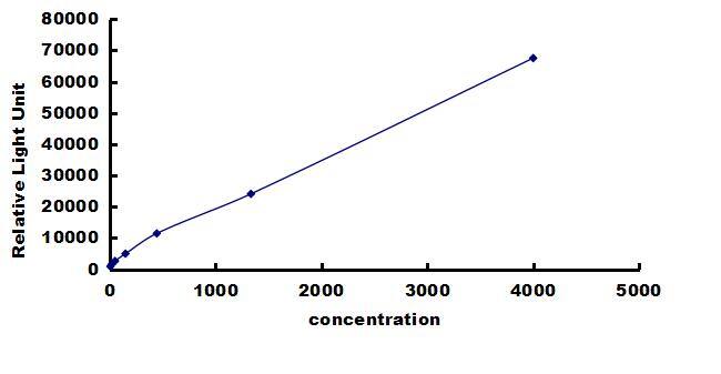 Porcine FGF acidic/FGF1 ELISA Kit (Chemiluminescence) ELISA: Porcine FGF acidic/FGF1 ELISA Kit (Chemiluminescence) [NBP3-42669]