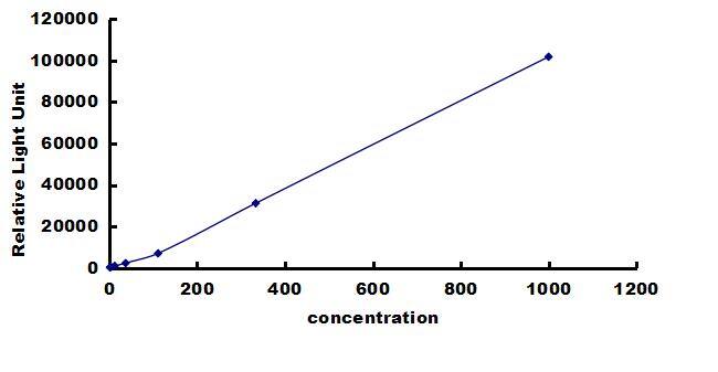 Canine HGF ELISA Kit (Chemiluminescence) ELISA: Canine HGF ELISA Kit (Chemiluminescence) [NBP3-42676]