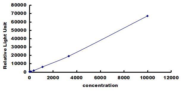 Porcine TIMP-4 ELISA Kit (Chemiluminescence) ELISA: Porcine TIMP-4 ELISA Kit (Chemiluminescence) [NBP3-42681]
