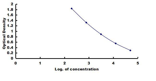 Canine Albumin ELISA Kit (Colorimetric) ELISA: Canine Albumin ELISA Kit (Colorimetric) [NBP3-42694]