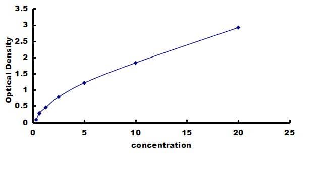 Rabbit NFkB1/NFkB p105 ELISA Kit (Colorimetric) ELISA: Rabbit NFkB1/NFkB p105 ELISA Kit (Colorimetric) [NBP3-42703]