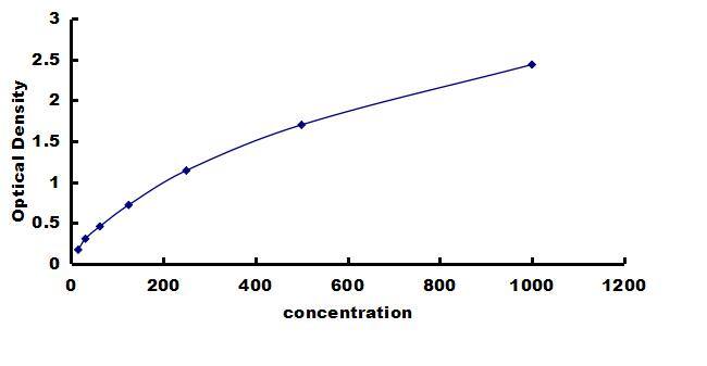 Sheep TGF-beta 1 ELISA Kit (Colorimetric) ELISA: Sheep TGF-beta 1 ELISA Kit (Colorimetric) [NBP3-42706]