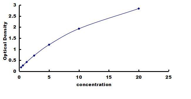 Mouse CaM Kinase II alpha ELISA Kit (Colorimetric) ELISA: Mouse CaM Kinase II alpha ELISA Kit (Colorimetric) [NBP3-42728]