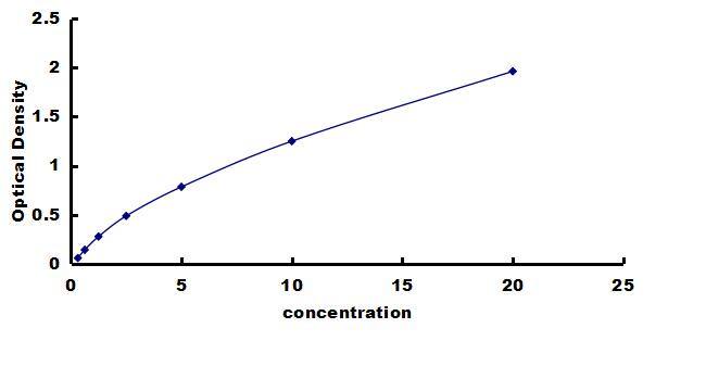 Rabbit BDNF ELISA Kit (Colorimetric) ELISA: Rabbit BDNF ELISA Kit (Colorimetric) [NBP3-42779]