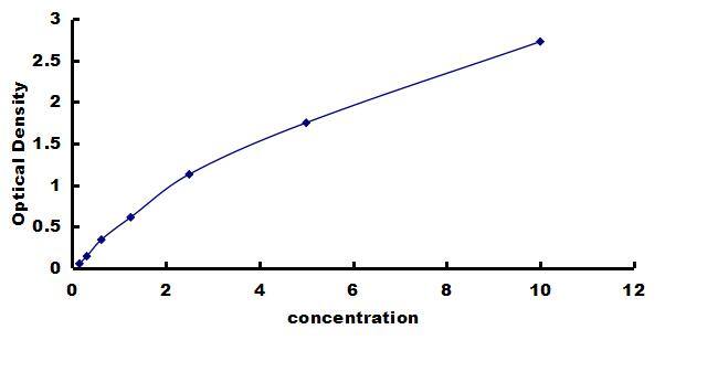 Canine BDNF ELISA Kit (Colorimetric) ELISA: Canine BDNF ELISA Kit (Colorimetric) [NBP3-42794]